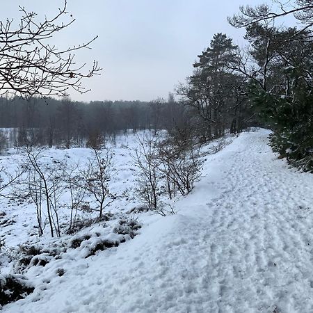 Vakantiewoning Heidebos In Het Nationaal Park Hoge Kempen Opglabbeek Exteriör bild
