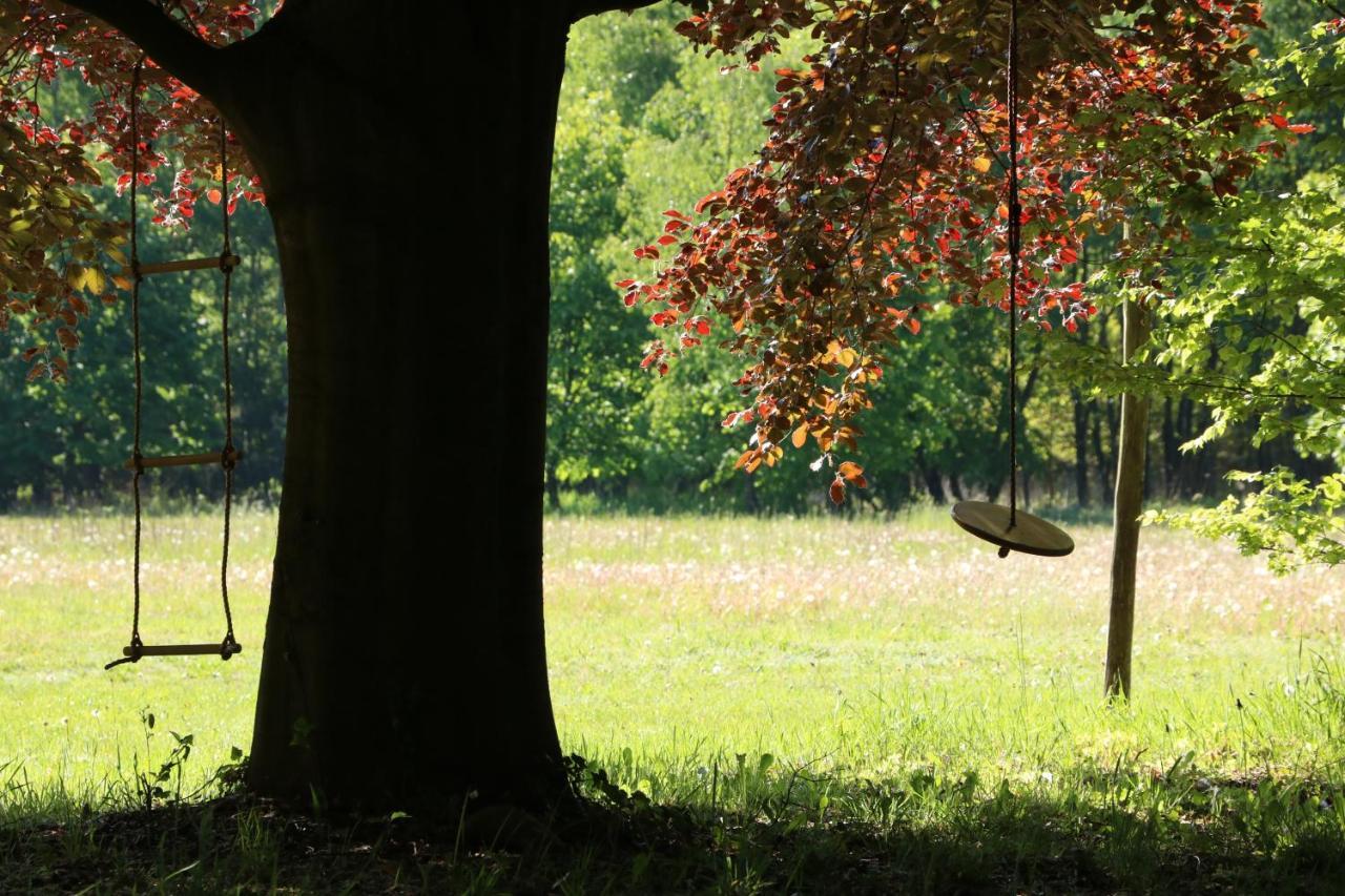 Vakantiewoning Heidebos In Het Nationaal Park Hoge Kempen Opglabbeek Exteriör bild