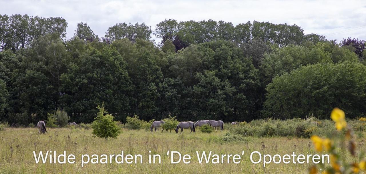 Vakantiewoning Heidebos In Het Nationaal Park Hoge Kempen Opglabbeek Exteriör bild