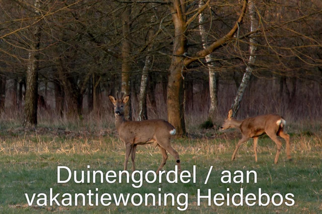 Vakantiewoning Heidebos In Het Nationaal Park Hoge Kempen Opglabbeek Exteriör bild