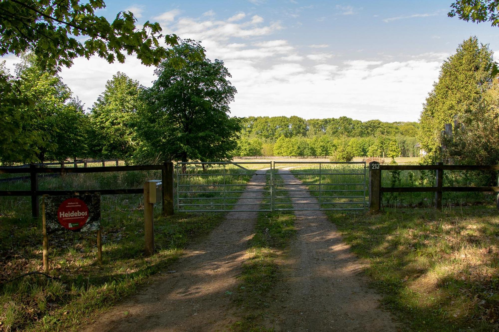 Vakantiewoning Heidebos In Het Nationaal Park Hoge Kempen Opglabbeek Exteriör bild