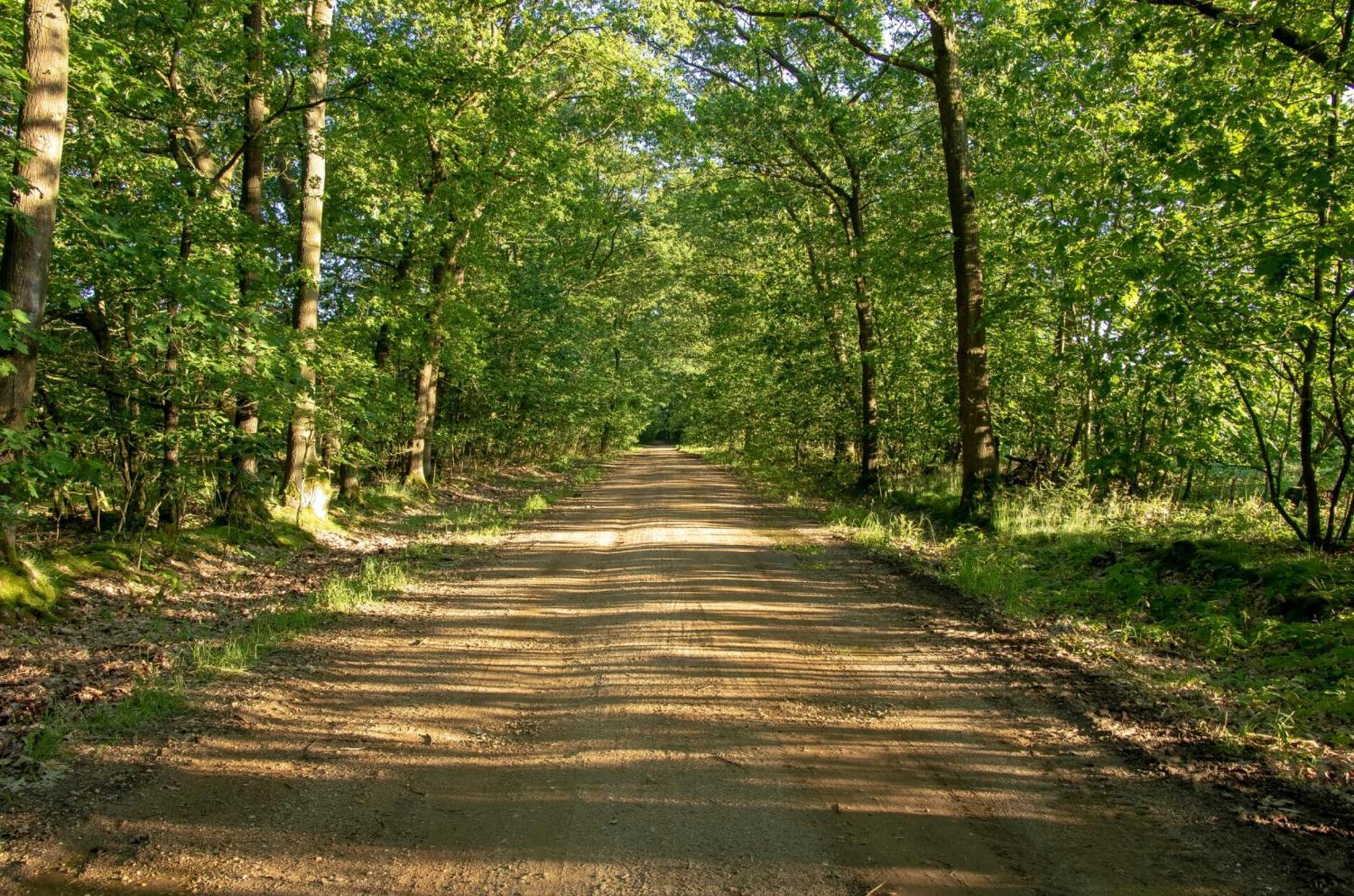 Vakantiewoning Heidebos In Het Nationaal Park Hoge Kempen Opglabbeek Exteriör bild