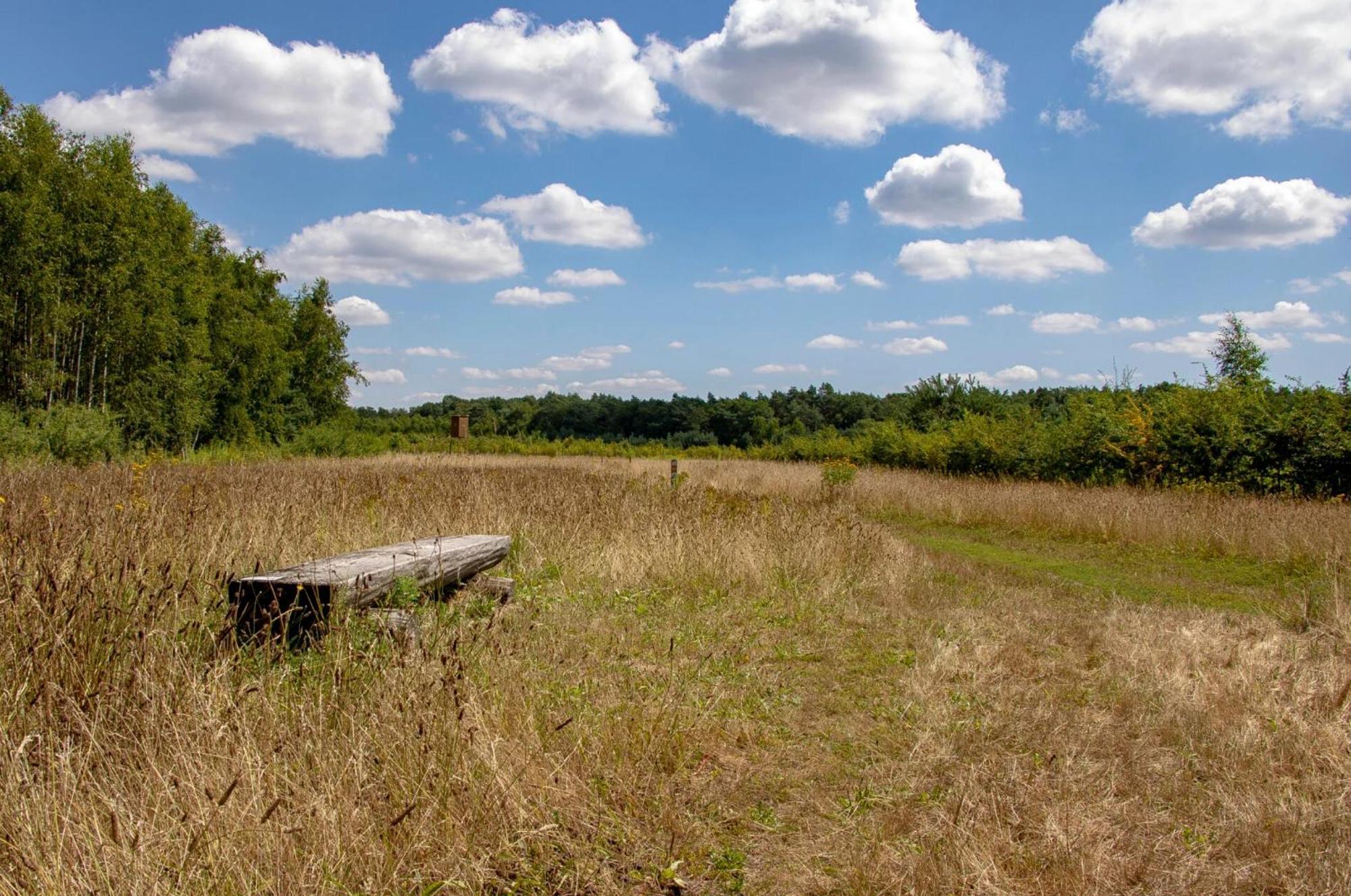 Vakantiewoning Heidebos In Het Nationaal Park Hoge Kempen Opglabbeek Exteriör bild