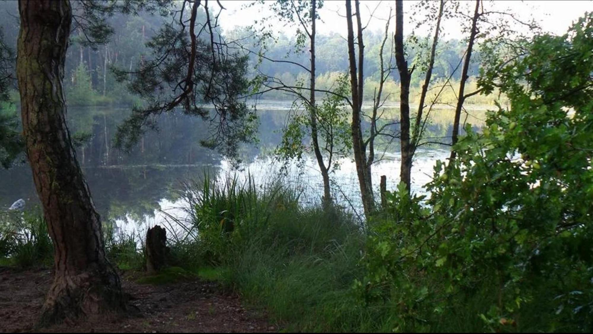 Vakantiewoning Heidebos In Het Nationaal Park Hoge Kempen Opglabbeek Exteriör bild
