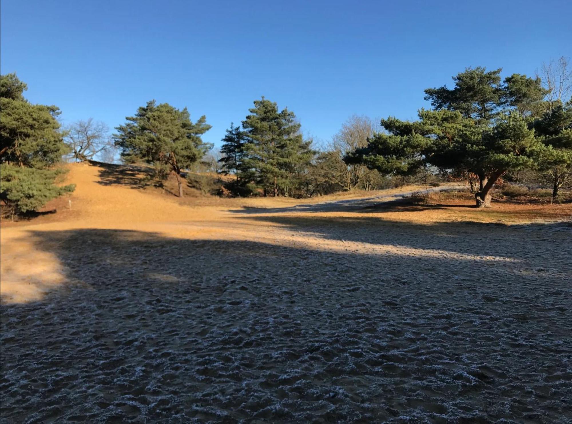 Vakantiewoning Heidebos In Het Nationaal Park Hoge Kempen Opglabbeek Exteriör bild